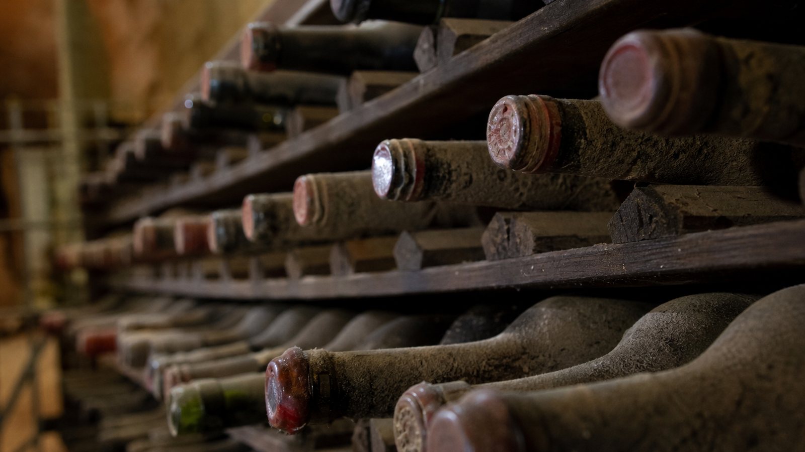 Bouchons de liège de bouteilles couchées, maintenus souples par l'humidité d'une cave bien réglée